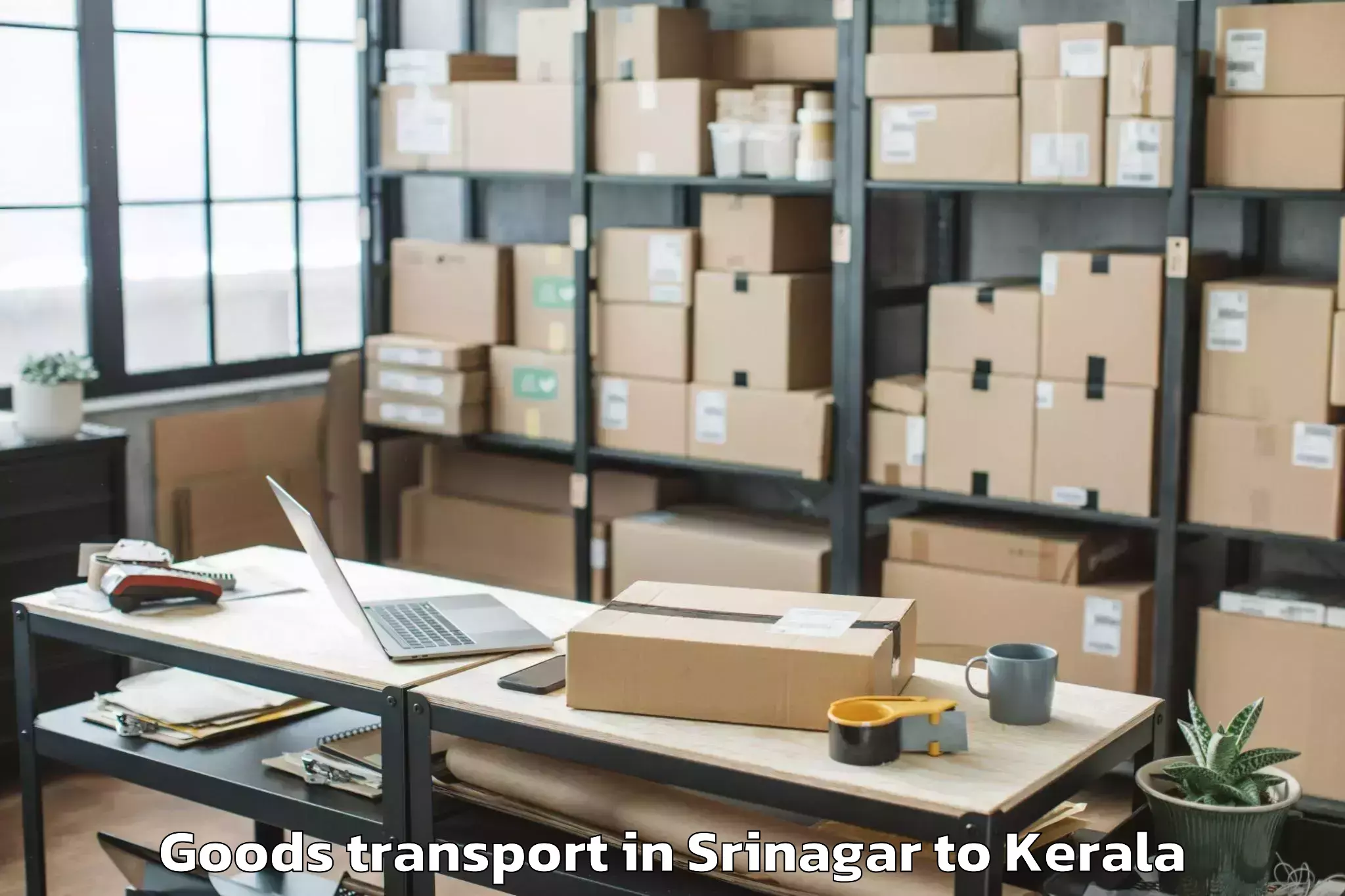 Reliable Srinagar to Chavara Goods Transport